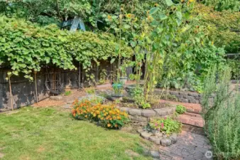 Grape Vines surround the garden areas.