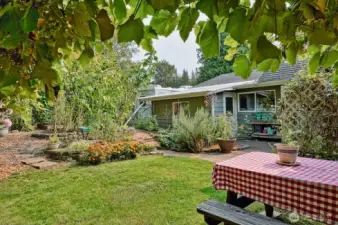 Endless possibilities with this super sized backyard.