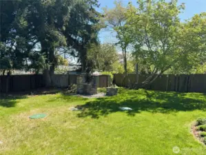 Fenced Back Yard