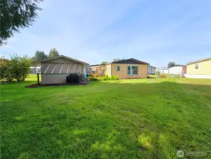 back yard