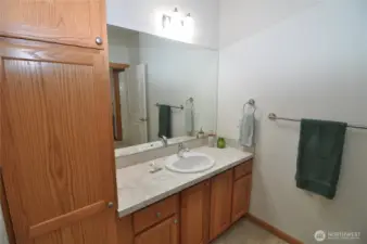 Lots of storage in the main bath as well.
