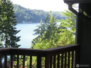Back Deck