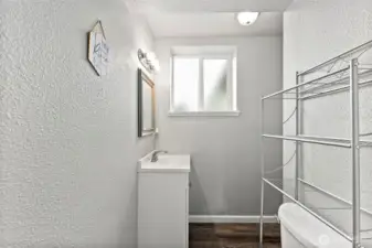 Lower Floor Bathroom