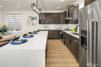 Stainless Steel Appliances