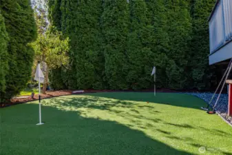 Keep your golf skills sharp on your own putting green...with the added bonus of 'grass' you never have to mow!