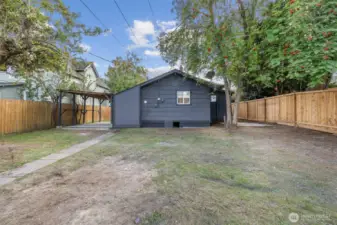 Back Yard