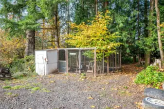 Chicken Coop
