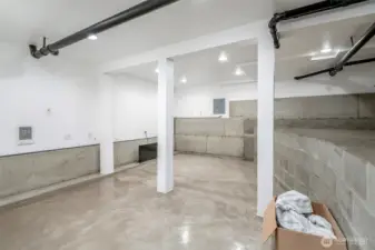 Basement!!! So much extra storage. Has own electrical panel, drainage and ventilation system.