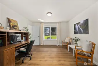 Downstairs office/flex room
