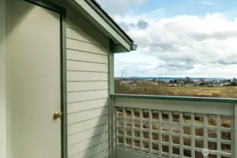 Nice sized storage closet on deck.  With this Southern facing you can do some great container gardening.