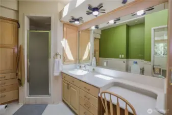 The en suite bathroom has skylights too, stand-alone shower with built in cabinetry to keep all your bathroom supplies