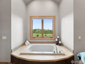 Primary bathroom soaking tub