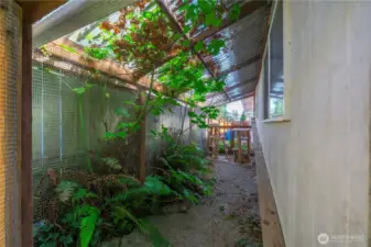 Custom catio can stay or go