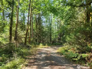 Part of the driveway into property