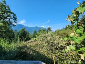 View from the porch