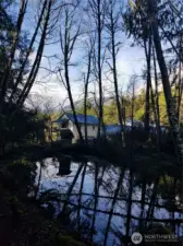 pond with ADU in the background
