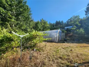View toward homes. Grapes and one of the greenhouses