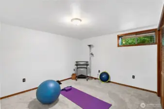 2nd of the 2 bedrooms downstairs.