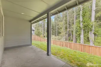 Back Patio