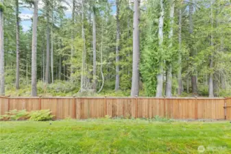 Backyard with Greenbelt behind