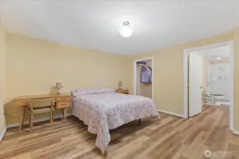 Downstairs bedroom #4 w/ walk-in-closet & a door into the bathroom.