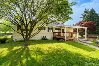 Mature trees sprinkle the property for some shady space in the grass.