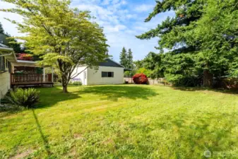 Lots of green grass for pets and little ones to run around and play.