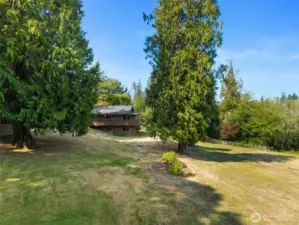 4.33 acres means privacy and room to roam.