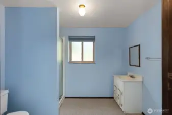 The lower level has a roomy 3/4 bath.