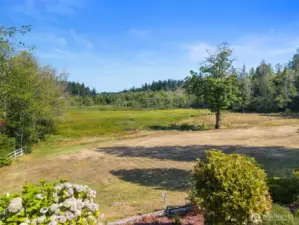 4.33 acres of open space framed by evergreens.