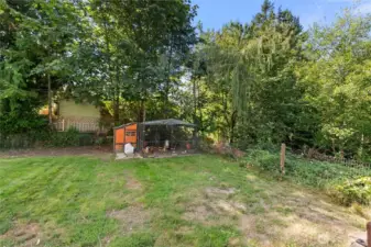 Chicken Coop!