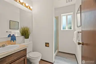 Lower level bath.