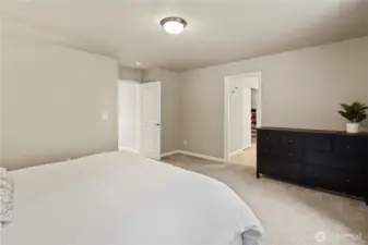 This is a king-sized bed in a king-sized room!