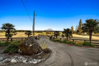 The enterance at the street