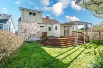 Back Yard & Deck