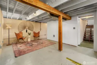 Basement Rec Area