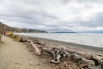 Miles of coastline to walk, water to swim (a favorite spot for Polar Plunge!) or paddle board, picnic etc....