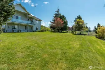 Backyard - plenty of space to put in a garden, play games, entertain guests, etc.