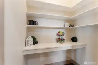 pantry with plugs for appliances- coffee bar?