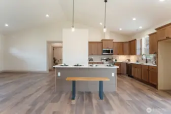 beautiful chef's kitchen