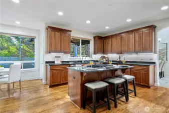 Gourmet kitchen with a large center island and breakfast bar.