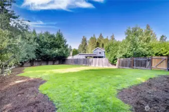 Expansive backyard offering privacy, fruit trees and space to play.