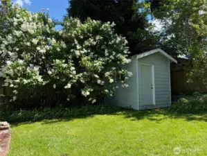 Backyard in the spring and summer.