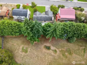 Green space behind