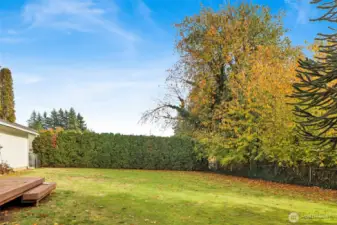 A private, fully fenced backyard—perfect for pets, play, and quiet moments under the trees.