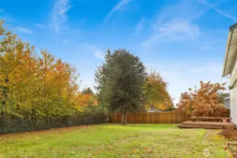 The backyard has the delightful surprise of a monkey puzzle tree; the monkey puzzle tree is a very unusual coniferous tree from South America that can grow over 150 feet tall. It has a very upright, formal shape. Its prickly leaves may pose a challenge for climbing monkeys, hence the name "monkey puzzle" tree. What a treasure!!