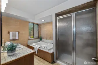 Primary bath with soaking tub and huge walk in shower.