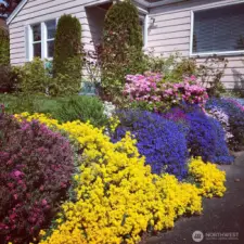 Spring Flowers - Photo taken last May