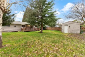 This garden shed is bigger than it looks. It has a concrete floor for easy maintenance and some built in storage.