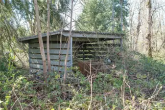 Wood shed/lean-to